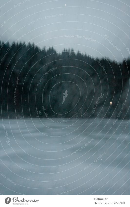 "Boarische" Umwelt Landschaft Wasser Himmel Winter Wind Nebel Baum Gras Sträucher See Tropfen Gefühle ruhig Außenaufnahme Experiment abstrakt Menschenleer