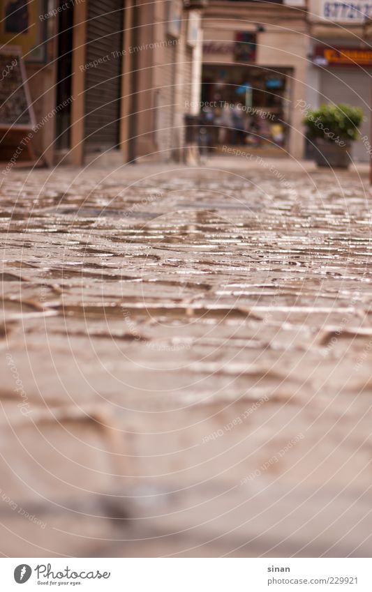 spanische Gasse Palma de Mallorca Spanien Dorf Hauptstadt Altstadt Menschenleer ästhetisch braun grau Zufriedenheit Klima Pflastersteine Regen Farbfoto