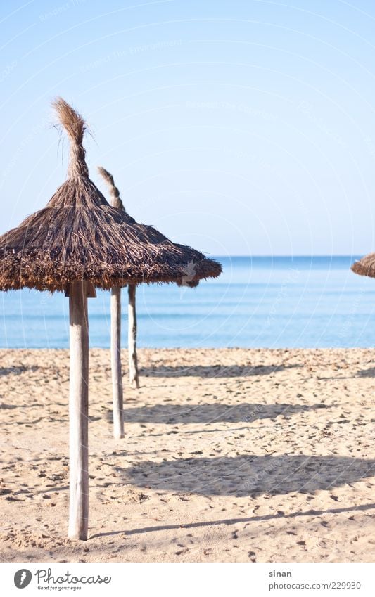Sonnenschirme am Strand Lifestyle ruhig Umwelt Landschaft Sand Wasser Himmel Horizont Sommer Schönes Wetter Küste Meer Mittelmeer Insel Mallorca ästhetisch