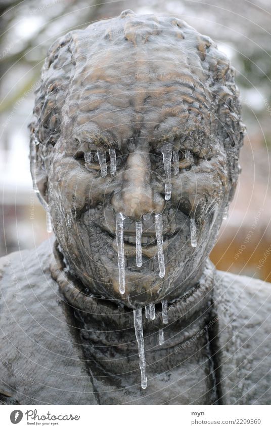 Gesund durch den Winter Mensch Mann Erwachsene Kopf Gesicht Skulptur Denkmal Metall Tropfen frieren Lächeln Blick gruselig kalt Statue Eis Eiszapfen gefroren