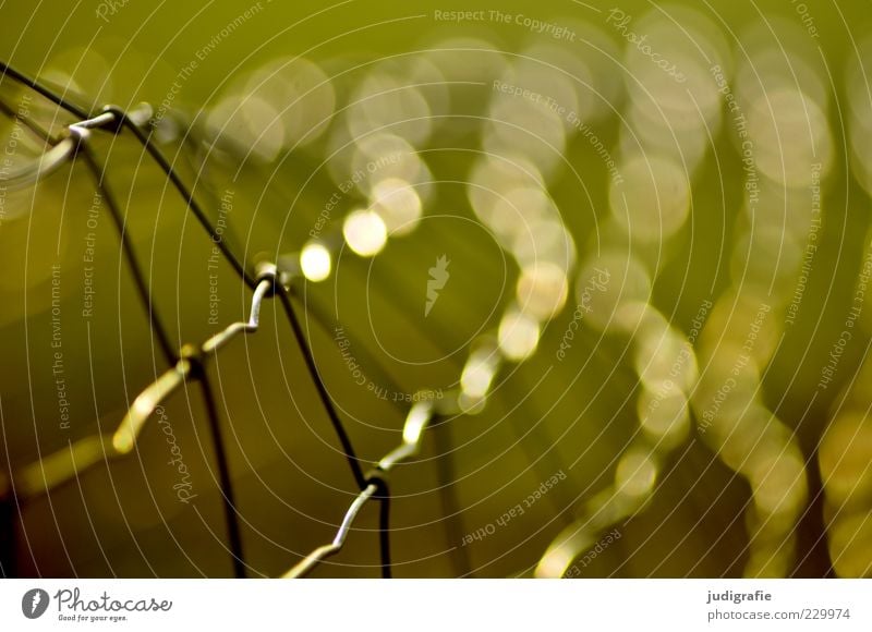Maschendraht Zaun Metall leuchten grün Maschendrahtzaun Schlaufe Netz Punkt Farbfoto Außenaufnahme Licht Lichterscheinung Schwache Tiefenschärfe