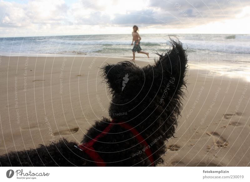 Kind und Hund am Meer Freiheit Mensch und Tier frei fühlen Freundschaft Tierliebe Mensch mit Hund Kinderspiel Mensch mit tier Strandspaziergang Sommerurlaub