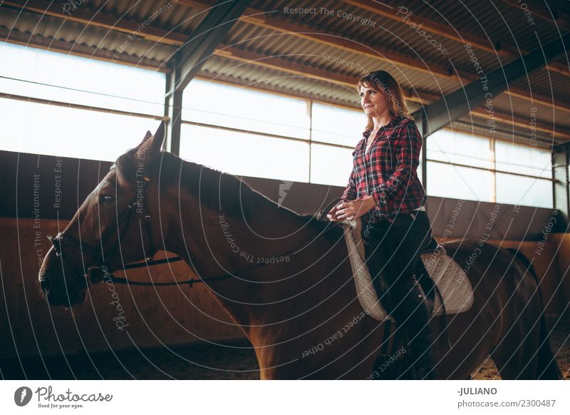Reife Frau übt das Reiten mit ihrem Pferd Lifestyle Mensch 30-45 Jahre Erwachsene Tier Nutztier Ein Tier Beratung Ferien & Urlaub & Reisen Abenteuer
