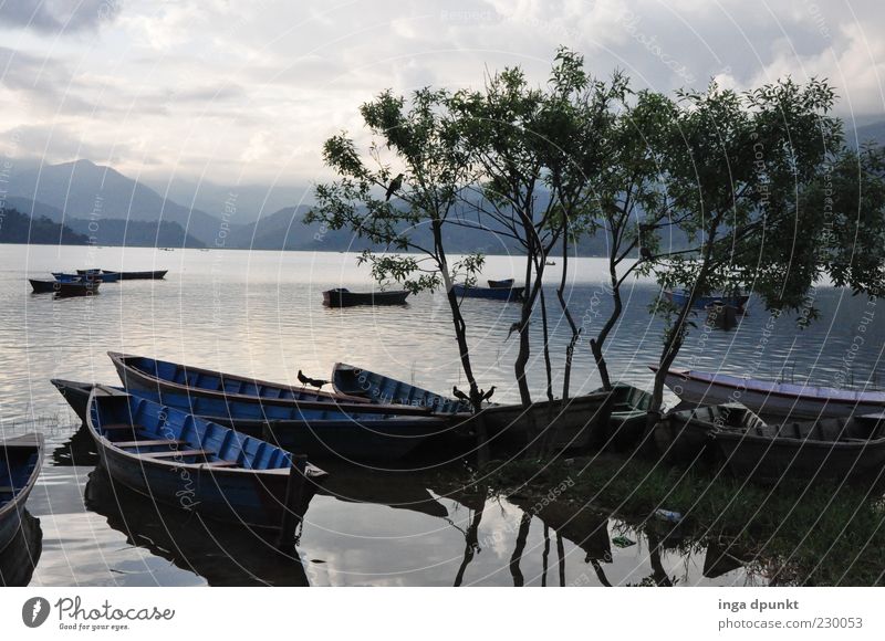 Lake Pokhara Ruderboot Umwelt Natur Landschaft Luft Wasser Herbst schlechtes Wetter Baum Berge u. Gebirge Küste Seeufer Erholung träumen einfach Reinheit