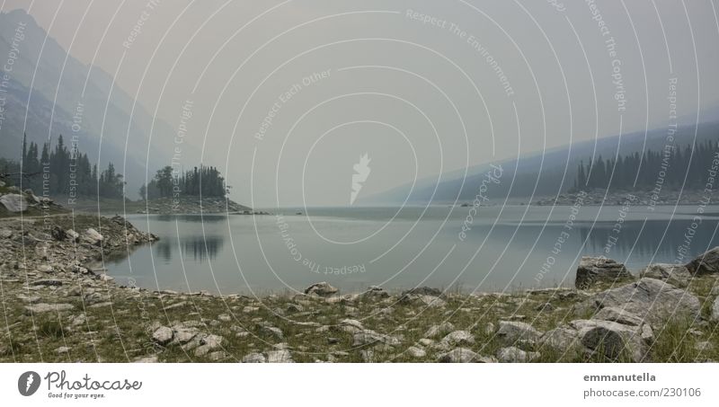 Banff National Park, Kanada Umwelt Natur Landschaft Wasser Himmel Wald Hügel Seeufer Amerika Menschenleer Sehenswürdigkeit Einsamkeit stagnierend Nebelschleier