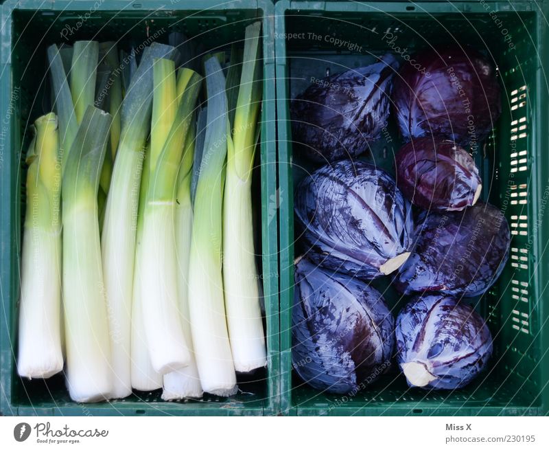 Grün und Blau Lebensmittel Gemüse Bioprodukte frisch blau grün Porree Kohl Rotkohl Wochenmarkt Gemüsemarkt Obst- oder Gemüsestand Kiste Farbfoto mehrfarbig