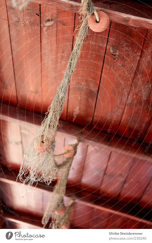 Fischernetz als Dekoration an der Decke einer Hafenkneipe Dekoration & Verzierung Holzdecke Hütte Gebäude hängen alt Originalität braun Tradition Farbfoto