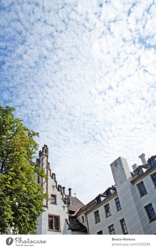 Heiter bis wolkig Haus Umwelt Himmel Wolken Sommer Wetter Schönes Wetter Gebäude Fassade ästhetisch schön blau weiß Gefühle Wolkenbild Farbfoto Außenaufnahme