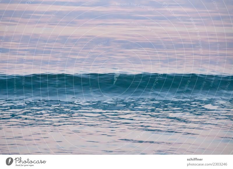 Textur | der Welle Natur Wasser Wellen Meer blau rosa Wasseroberfläche Meerwasser Atlantik Wellengang Wellenform wellig Wellenkamm Abend Abenddämmerung