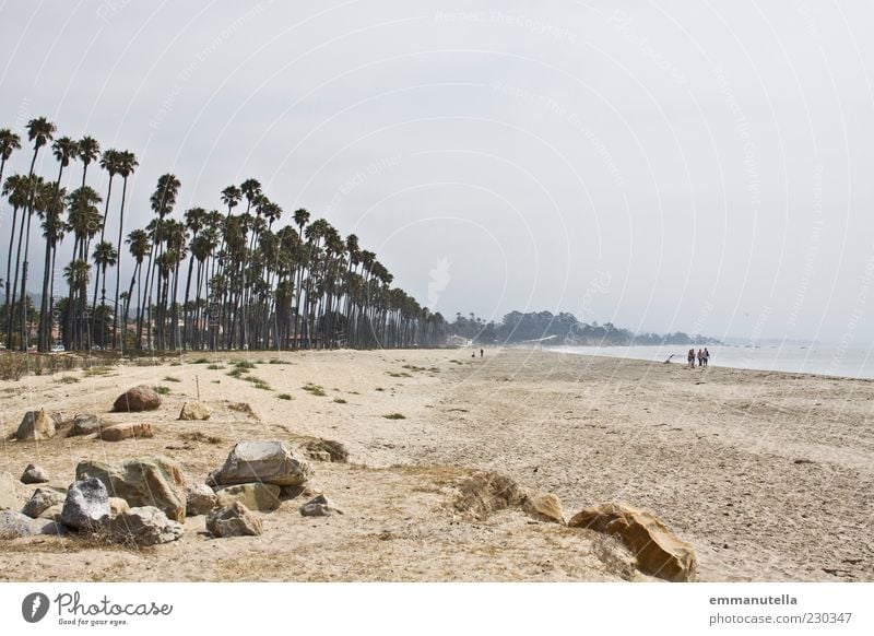 Santa Barbara Beach Sommerurlaub Strand Meer Landschaft Sand Wasser Himmel Wetter Palme St. Barbara USA Stein gehen braun Sehnsucht Fernweh Erholung