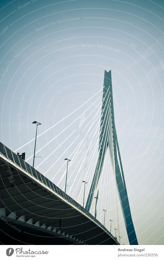 Erasmusbrug Wolkenloser Himmel Schönes Wetter Rotterdam Niederlande Erasmusbrücke Verkehr Verkehrswege Brücke Schrägseilbrücke Straßenbeleuchtung