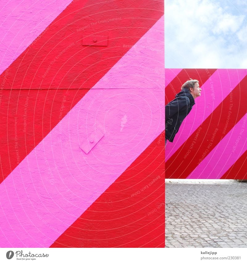 grafikdesigner Mensch maskulin Mann Erwachsene Kopf 1 30-45 Jahre Blick rosa rot Streifen Zaun Barriere Design Farbfoto mehrfarbig Außenaufnahme
