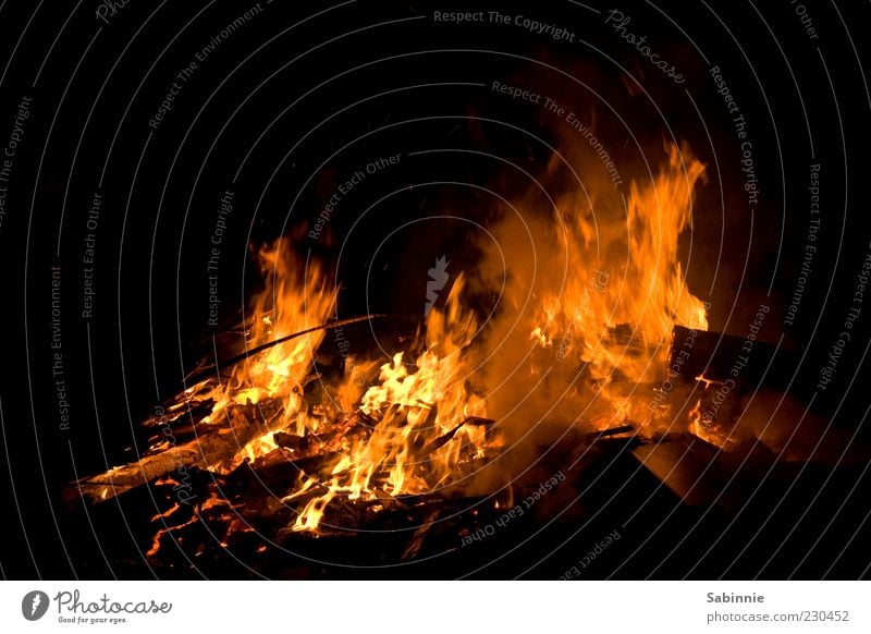 Bonfire Night Feuer Holz Kohle Nacht dunkel brennen Wind Feuerstelle Lagerfeuerstimmung Farbfoto mehrfarbig Außenaufnahme Detailaufnahme Menschenleer Licht