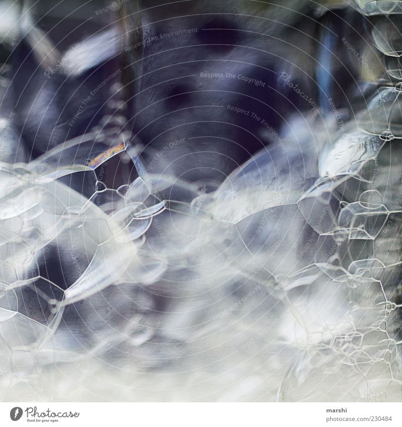 blubber weiß Seifenblase Blase abstrakt Strukturen & Formen Farbfoto Detailaufnahme Makroaufnahme Menschenleer Luft glänzend schimmern Vergänglichkeit