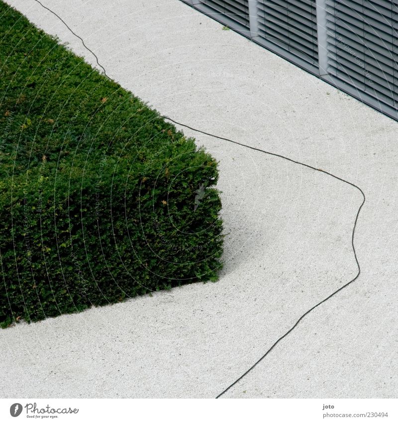 Kabel Garten Park Menschenleer Architektur Mauer Wand Terrasse Genauigkeit Sträucher Hecke Design puristisch Linie Schnur schlangenförmig Wege & Pfade