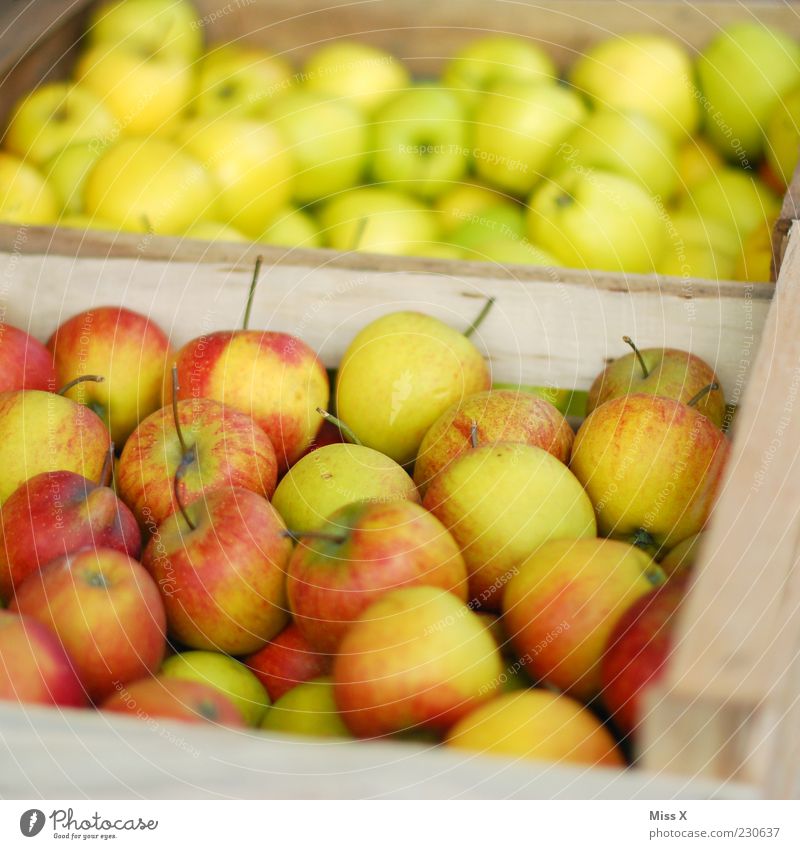 in der Box Lebensmittel Frucht Apfel Ernährung frisch sauer süß Gesundheit Gesunde Ernährung Bioprodukte Ernte Apfelernte Holzkiste Obstkiste Wochenmarkt