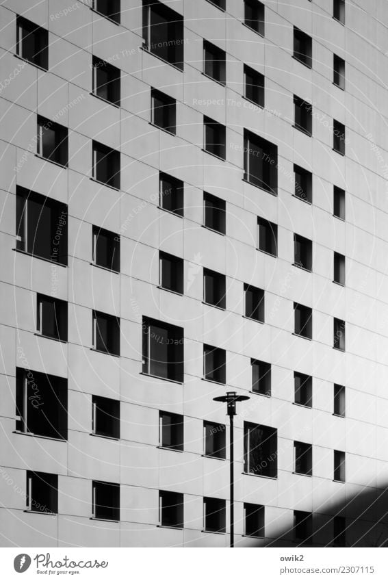Kastendenken Häusliches Leben Haus Dresden Deutschland bevölkert Hochhaus Gebäude Mauer Wand Fassade Fenster Straßenbeleuchtung Laternenpfahl Zusammensein