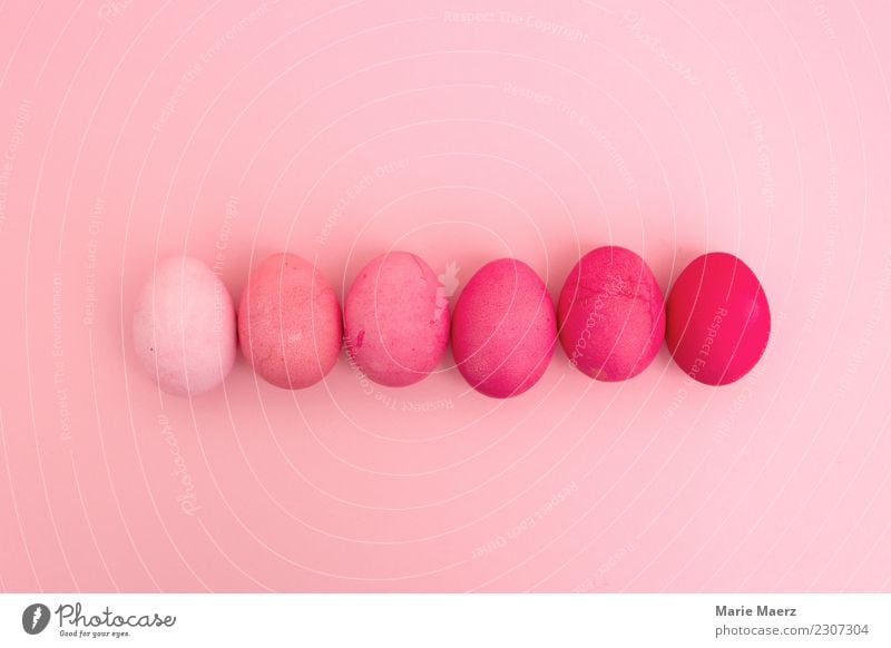 Rosa Farbverlauf aus gefärbten Ostereiern Stil Design Feste & Feiern Ostern liegen machen ästhetisch Coolness hell trendy rund schön rosa geduldig einzigartig
