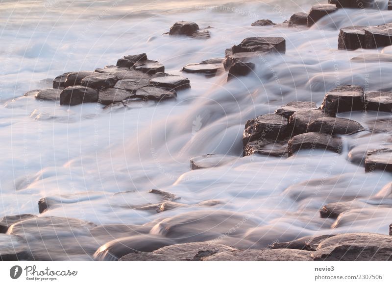 Der Damm des Riesen Umwelt Natur Landschaft Erde Wellen Küste Meer nass weiß Giant´s Causeway Nordirland Republik Irland Wasser Langzeitbelichtung Stein Antrim