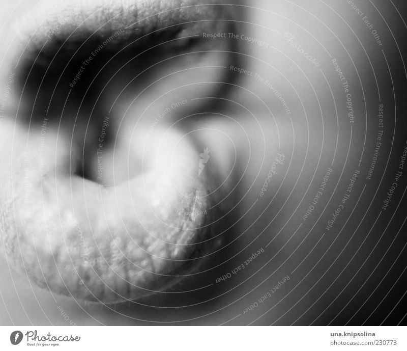 8 Mund Lippen verrückt Grimasse Textfreiraum rechts Kussmund Gesichtsausschnitt Anschnitt Schwarzweißfoto Nahaufnahme Detailaufnahme Licht Schatten
