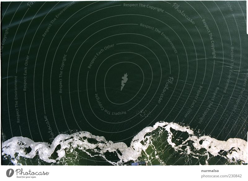 Aufschäumend Natur Wellen Ostsee Bewegung nass Umwelt Gischt abstrakt Muster Farbfoto Experiment Strukturen & Formen Menschenleer Wasseroberfläche