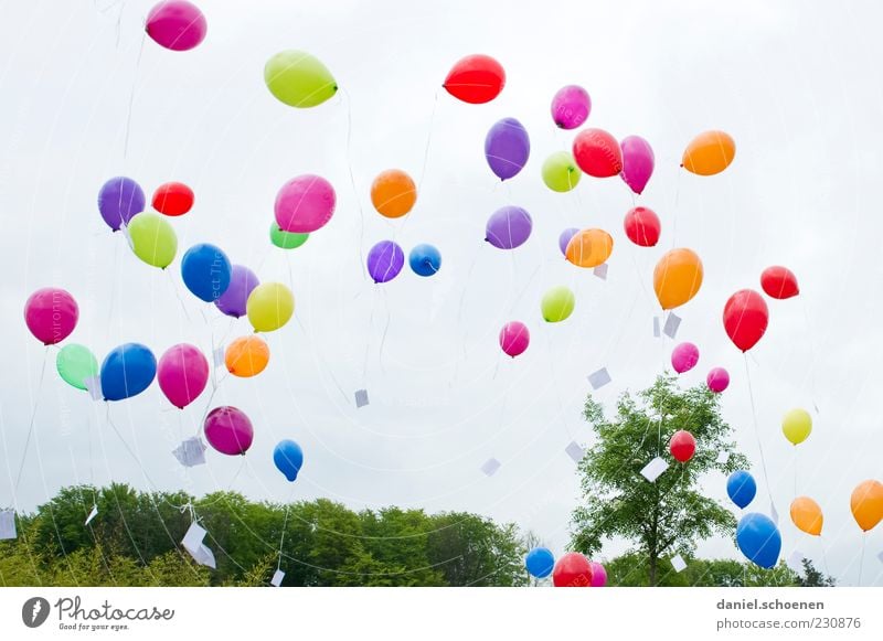 Nummer 844 Freude Feste & Feiern Geburtstag Luftballon blau mehrfarbig gelb grün violett rosa rot Fröhlichkeit Lebensfreude Leichtigkeit fliegen steigen Brief