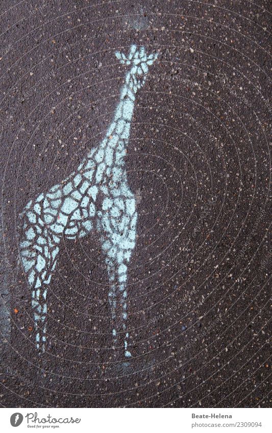 steinig | das lange Leben der Giraffe elegant Wohnung Kunstwerk Umwelt Straßenverkehr Wildtier 1 Tier Stein Zeichen Ornament beobachten festhalten Blick stehen