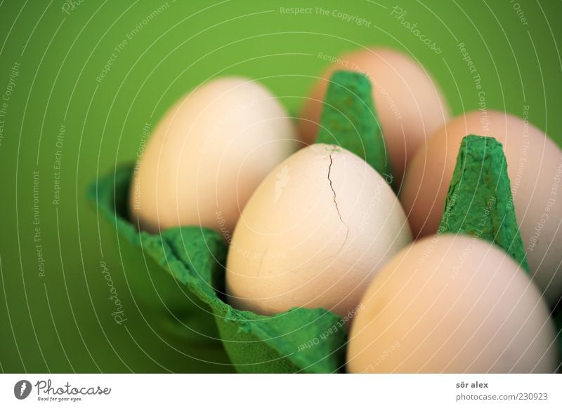 Ei-kaputt Lebensmittel Ernährung Bioprodukte Eierkarton Eierschale rund grün Oval 5 Hülle Schutz hart Bioei frisch sensibel zerbrechlich Cholesterin Hühnerei
