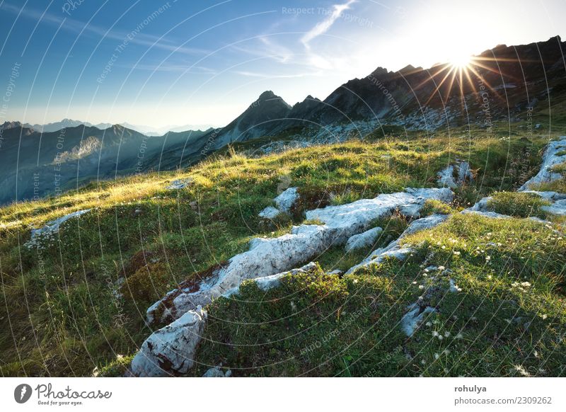schöner Sonnenuntergang in den Allgäuer Alpen im Sommer, Deutschland Ferien & Urlaub & Reisen Berge u. Gebirge Natur Landschaft Himmel Wiese Hügel Felsen Gipfel