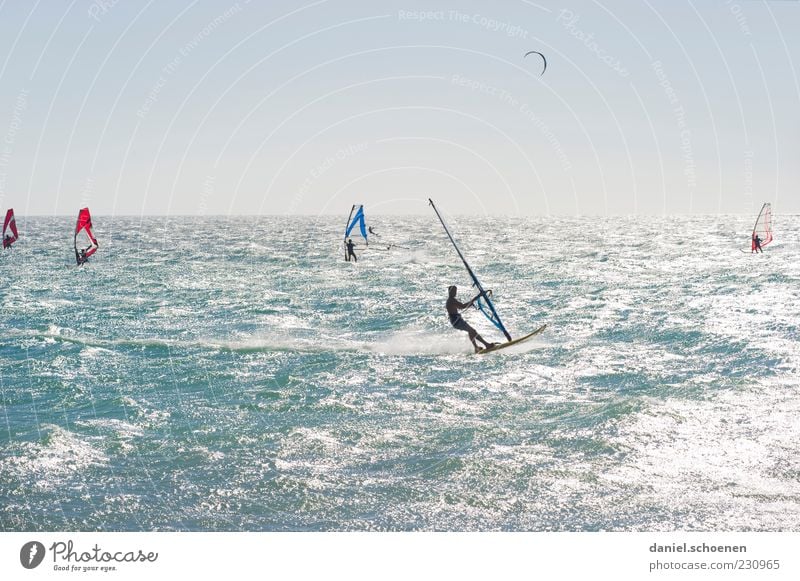 so langsam Freizeit & Hobby Ferien & Urlaub & Reisen Sommer Sommerurlaub Meer Wellen Wassersport Mensch 5 blau weiß Wind Surfen Windsurfing Windsurfer Licht