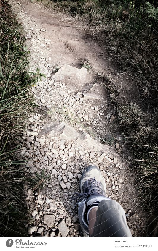 weitergehen Ausflug wandern Beine Fuß Natur Pflanze Gras Sträucher Wildpflanze Felsen Fußgänger Wege & Pfade Fußweg Schuhe Wanderschuhe laufen authentisch
