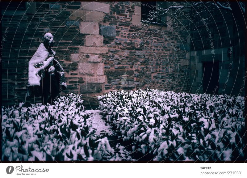 Der einsame König Aachen alt Winter Statue Karl der Große Schnee kalt Einsamkeit Schneebedeckte Gipfel Garten Mittelalter warten Aufenthalt Traurigkeit trist