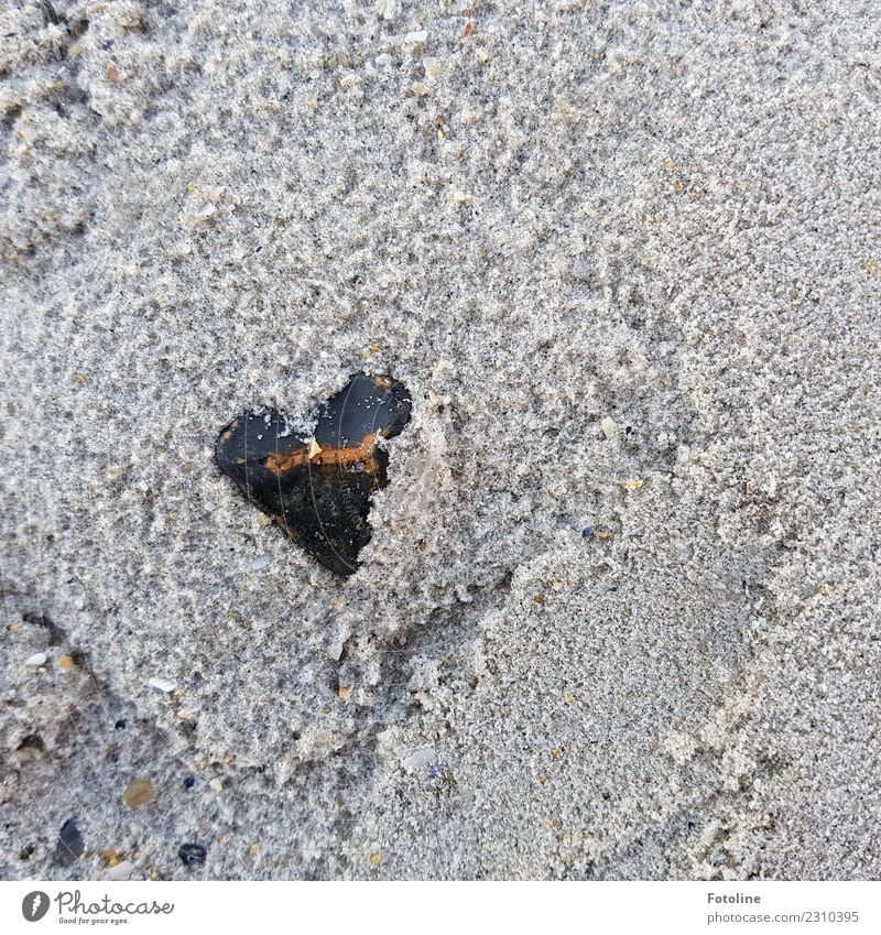 Natürlich von Herzen Umwelt Natur Urelemente Erde Sand Küste Strand nah nass natürlich braun grau schwarz Stein herzförmig steinig Farbfoto Gedeckte Farben