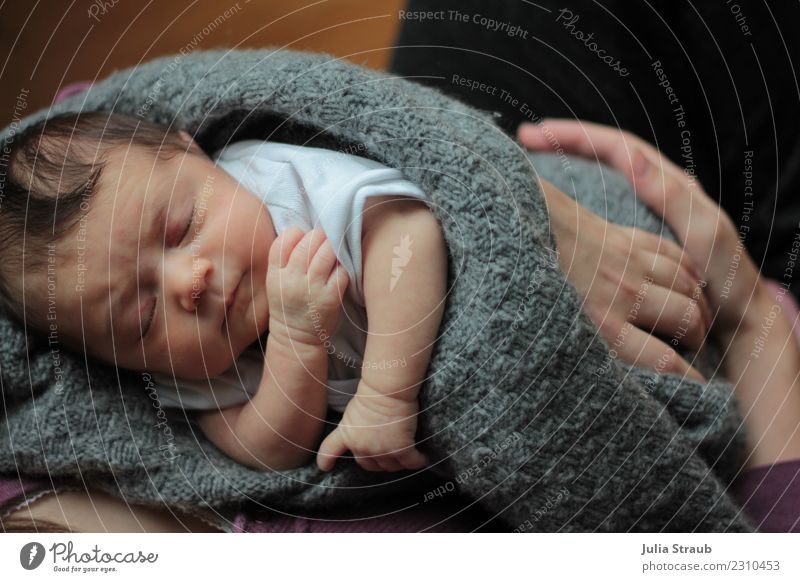 Baby Neugeboren in einer Decke schlafend auf dem arm feminin Mutter Erwachsene 2 Mensch 0-12 Monate schwarzhaarig kurzhaarig festhalten träumen kuschlig grau