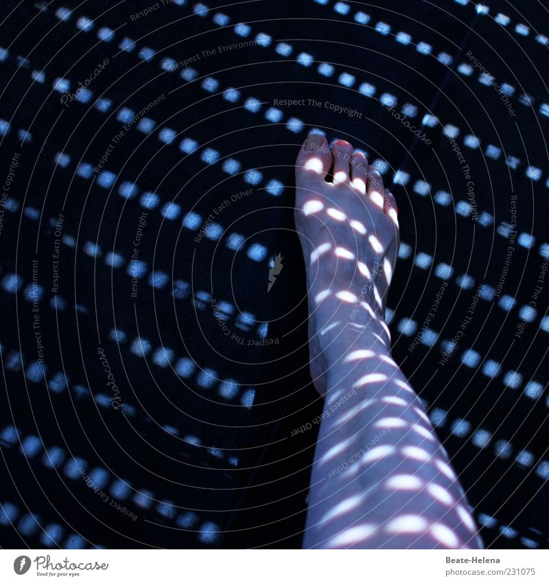 Vom Licht gestreift 4 feminin Frau Erwachsene Beine Linie Streifen Erholung stehen ästhetisch elegant blau schwarz Gefühle Bewegung Lichteinfall Schatten