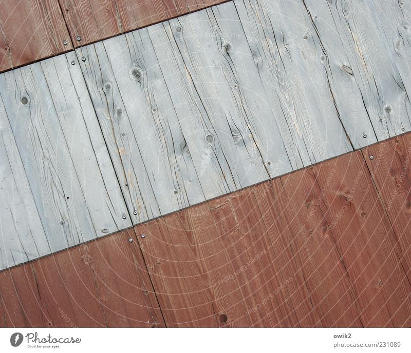 Strukturwandel Gebäude Mauer Wand Holz ästhetisch einfach hell trist grau Ordnungsliebe Design einzigartig Holzwand Linie Maserung Astloch Oberflächenstruktur
