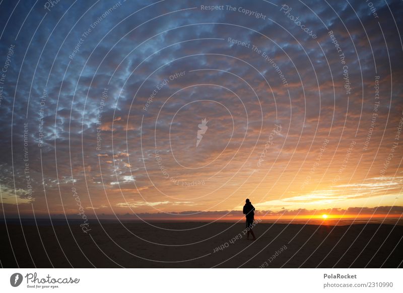 #AS# Operation Desert-Morn' Kunst Kunstwerk ästhetisch Wüste Fotografie Fotografieren entdecken Himmel Sonnenaufgang Frühaufsteher Momentaufnahme gold laufen