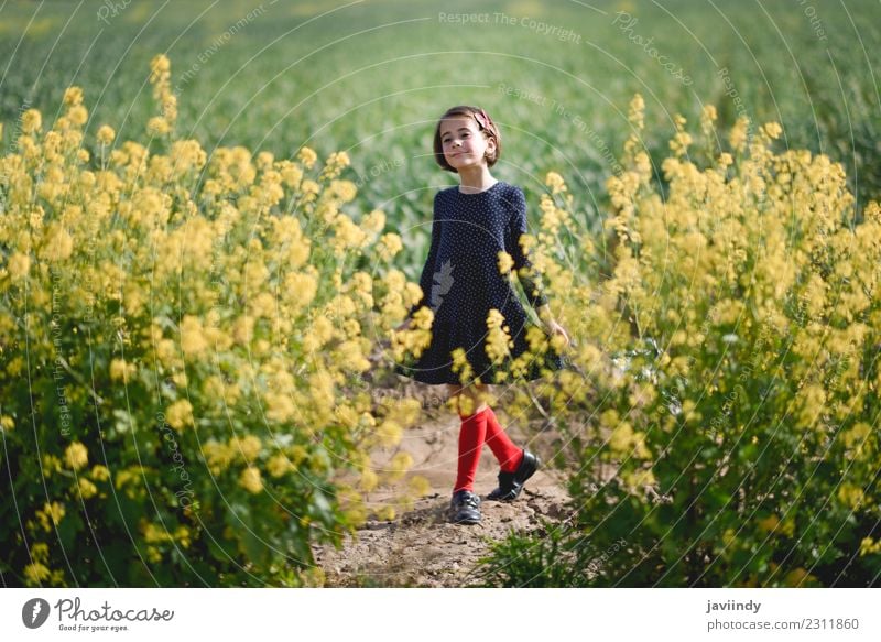 Kleines Mädchen im Naturfeld mit schönem Kleid Lifestyle Freude Glück Spielen Sommer Kind Mensch Baby Frau Erwachsene Kindheit 1 3-8 Jahre Blume Gras Wiese Mode