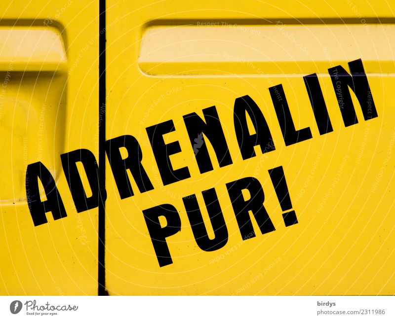 Adrenalin, der Kick Extremsport Abenteuer Schriftzeichen gigantisch Unendlichkeit positiv gelb schwarz Euphorie Kraft Willensstärke Todesangst Stress Energie