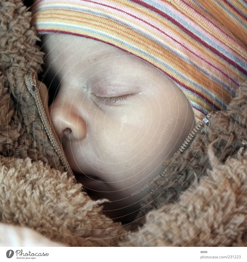 Baby schläft im Teddypelz Mensch Kind Kindheit Haut Kopf Gesicht Auge Nase 0-12 Monate Fell Mütze schlafen träumen Glück kuschlig klein natürlich niedlich Wärme