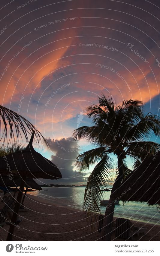 WOLKENGEMÄLDE Mauritius Wolken Wolkenwand Abend Sonnenuntergang Strand Meer Erholung Reisefotografie Natur Afrika Paradies himmlisch paradiesisch Palme
