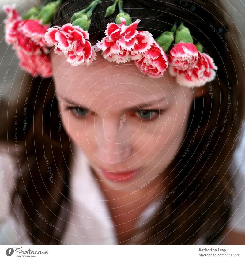 Blumen pflücken für Fortgeschrittene schön Haut Kosmetik Wellness feminin Frau Erwachsene Kopf Haare & Frisuren 1 Mensch 18-30 Jahre Jugendliche Blumenkranz