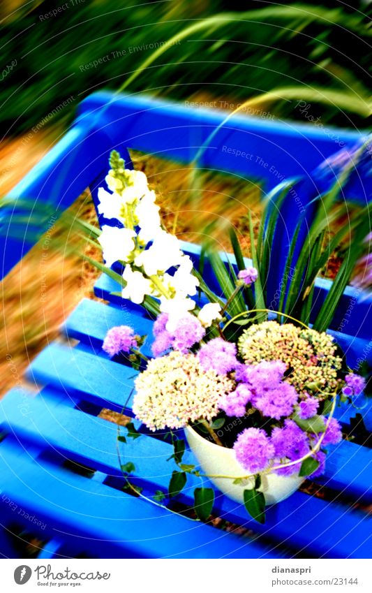 herbststrauss Blume Herbst Stimmung Blumenstrauß Vase Gesteck Gartenbank Bank blau