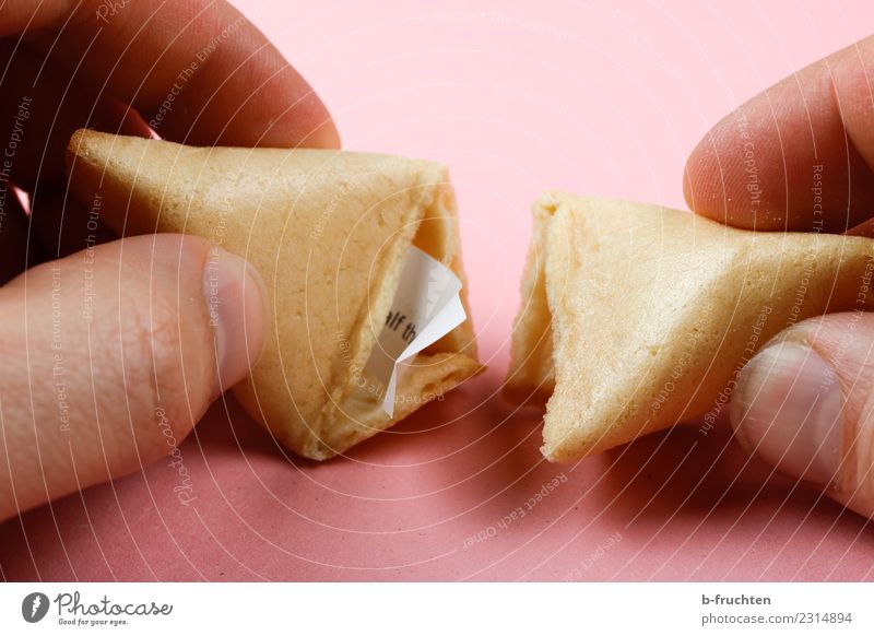 Chinese style fortune cookie with paper mottos Süßwaren Mann Erwachsene Finger entdecken festhalten Blick rosa Glück Neugier Glückskeks aufmachen Keks Zettel