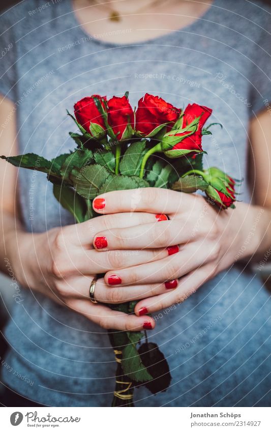 rote Rosen zum Valentinstag Freude Mensch feminin Junge Frau Jugendliche Erwachsene Freundschaft Paar Partner Hand 1 18-30 Jahre Blume festhalten Liebe Gefühle