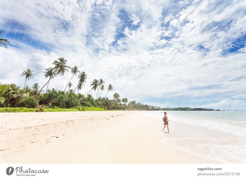 Balapitiya, Sri Lanka - Frau am Strand von Balapitiya Asien schön niedlich verträumt himmlisch Idylle erleuchten Landschaft Natur Meer Palme friedlich