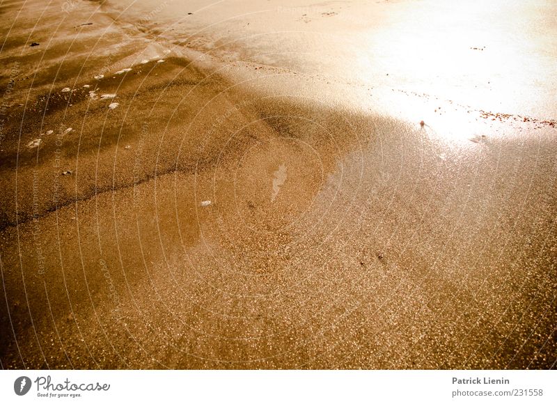 Looking For Freedom Umwelt Natur Urelemente Erde Sand Wasser Sonnenlicht Sommer Küste Strand Meer Stimmung Fröhlichkeit Zufriedenheit Gold Australien blenden