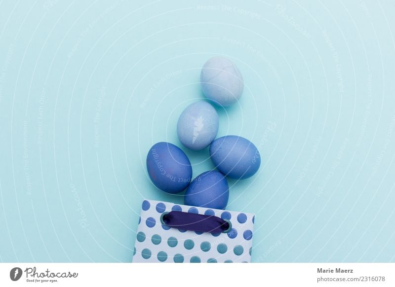 Geschenktüte mit blauen Ostereiern Ei Stil Ostern kaufen Feste & Feiern schön Freude Vorfreude Farbe schenken färben Farbfoto Innenaufnahme Studioaufnahme