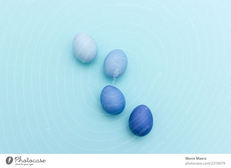 Reihe mit 4 blau gefärbten Ostereiern Lebensmittel Ei Essen Feste & Feiern Ostern machen ästhetisch authentisch Gastfreundschaft Farbe Kreativität Kunst