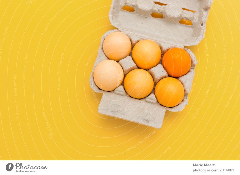 Gelb gefärbte Ostereier auf gelbem Hintergrund Lebensmittel Ei Ernährung Stil Freude Essen Ostern Feste & Feiern ästhetisch Fröhlichkeit frisch orange